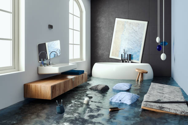 Water damage restoration mold remediation in Macom, IL