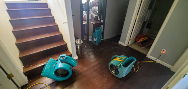 Best Residential water damage restoration  in Macom, IL