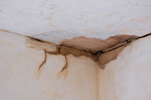 Water damage restoration experts in Macom, IL