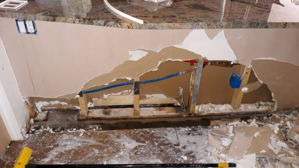Best Carpet water damage restoration  in Macom, IL