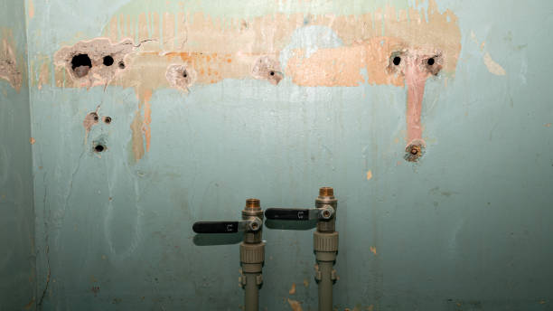 Best Emergency water extraction  in Macom, IL